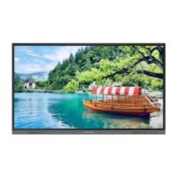 Écran Interactif Specktron CDX-75i - 75 POUCES